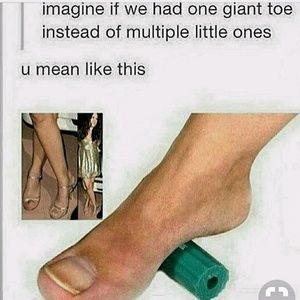 Meet your Posher, Skye